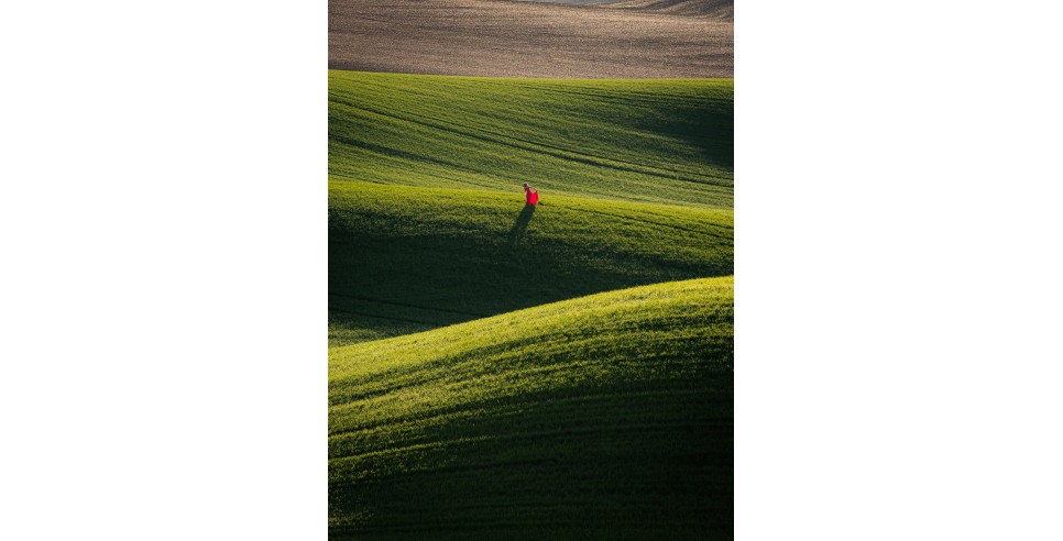 photo of Palouse by David de Graaf